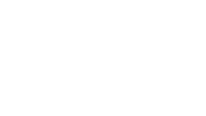 Logo Microsoft partner